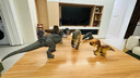 Jurassic World生日礼物侏罗纪世界：重生大电影萌宠怒吼恐龙多洛丝小洛JGC01 实拍图