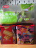 圆荣圆 368g海盐白脱曲奇 可可曲奇  核桃曲奇 休闲早餐零食 海盐白脱曲奇2罐 实拍图