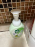 滴露（Dettol）泡沫洗手液青柠香250ml 消毒抑菌99.99% 儿童适用泡泡 玻尿酸保湿 实拍图