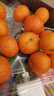 京觅 广西金秋砂糖橘2.5-3斤 单果30-35mm精品水果沙糖桔橘子源头直发 实拍图