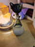 大英博物馆风暴瓶盖亚安德森猫天气瓶创意桌面摆件生日母亲节礼物 黑色 实拍图