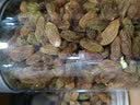 珍田阁葡萄干特产免洗即食散装无核非新疆吐鲁番特级绿宝石 【3罐】葡萄干果脯类1500g 实拍图