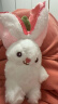 尚韵情人节毕业新年生日礼物女草莓兔玩偶毛绒玩具娃娃公仔儿童玩具 实拍图