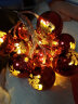 TaTanice 铜线灯串10米100灯 生日装饰灯led网红灯房间装饰浪漫温馨氛围灯 晒单实拍图