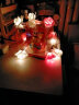 TaTanice 玫瑰灯串1.5米10灯 求婚表白布置彩灯装饰后备箱惊喜女神节装饰 实拍图