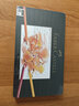 辉柏嘉（Faber-castell）油性彩色铅笔专业手绘艺术家大师级绘画套装60色绿铁盒装110060节日开学礼物【梵高认证】 实拍图