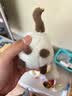 昙蓓漫拉绳摇尾巴玩具小猫咪毛绒公仔会动的网红小猫咪卡通玩偶拉线转圈 【毛绒可爱】拉绳驱动猫咪 17cm拉绳可摇尾巴 实拍图