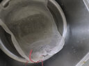 秋季 鲜活生态外塘生长食用大甲鱼生鲜鱼冷水团鱼王八鳖活体生鲜活鲜 1.0-1.2斤外塘野养老鳖 实拍图