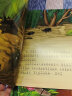 法布尔昆虫记美绘本12册 法布尔献给孩子的科学启蒙绘本 3-6岁亲子共读 7-9岁自主阅读绘本 科普故事书 经典文学名著 实拍图