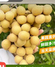 甜萌果蔬【顺丰/jd】新鲜龙眼 送人礼品 储良石峡新鲜桂圆水果送礼 5斤 精选装【储良龙眼】净重4.5 实拍图