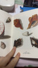 后浪复古艺术馆系列·贝壳之美 实拍图