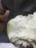 果味棠青苹果新鲜水果9斤当季整箱现摘小苹果孕妇酸脆甜山西运城多汁 5斤(含包装重量) 70mm(含)-75mm(不含) 高 晒单实拍图
