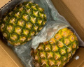 都乐Dole 菲律宾无冠金菠萝凤梨 中果2个装 单果重800g起 生鲜水果 晒单实拍图
