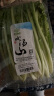 小汤山 北京 小白菜 250g 基地直供新鲜蔬菜 实拍图