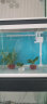 森森 超白玻璃一体小鱼缸HNE380款小型桌面水族箱免换水金鱼缸水族箱 实拍图