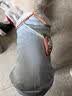 憨憨宠 狗狗衣服猫衣服宠物泰迪衣服冬季猫咪衣服小型犬衣服幼犬秋冬服 蓝色 萝卜小挎包卫衣 XL号建议体重11-15斤 实拍图