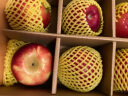 京鲜生 新西兰 Sassy/小飒苹果 中果12粒礼盒装 单果约120g起 新鲜水果 实拍图