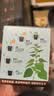 IAM City Farmer猫薄荷儿童种植小盆栽春天种植学生幼儿园趣味diy植物观察杯10035 实拍图
