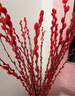 开时果 银柳真花年宵花卉带花发货 鲜切鲜枝水培水养干支耐寒绿植物盆栽 A级银柳中国红45cm50枝+小灯笼2个 不含盆 实拍图