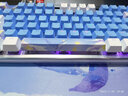 本手《鲸语心愿》主题机械键盘鼠标套装 键鼠套装 电竞游戏键盘有线鼠标耳机三件套台式笔记本电脑发光 《鲸语心愿》白蓝【彩光】机械键盘+鼠标+猫耳耳机 茶轴 实拍图