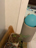 东之天地 干果干花树叶DIY花材材料包香薰蜡烛天然植物松果永生花手工装饰 干果干花花材盒【随机一盒装】 实拍图
