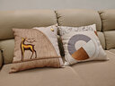 万燊 现代轻奢大地暖色耐脏抱枕简约客厅沙发靠枕样板房装饰靠背软包 J款 50X50cm(枕套加枕芯） 实拍图