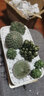 萌卉植仙人掌多肉植物带盆组合仙人球盆栽办公室阳台绿植室内桌面花卉 A款组合：图中植物+盆土铺面 白瓷盆+竹制托盘 实拍图