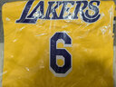 耐克耐克NBA官方-湖人詹姆斯男球衣速干篮球服运动背心DN2009-728 湖人队/詹姆斯 XL 实拍图
