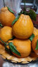 四川眉山丑橘不知火 高甜无渣 果园现发 优质产区柑橘 9斤特大果(单果80mm+) 晒单实拍图