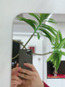 飞旺藤达亚克力软镜子贴墙自粘全身穿衣镜家用宿舍高清镜面贴纸墙面粘贴镜 【加厚1.8mm防爆圆角】50*150cm-送粘墙贴 实拍图