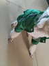 CHU XING JIA 狗狗雨衣全包卡通防水四脚幼犬秋冬宠物衣服泰迪透明雨衣宠物 绿色恐龙M（胸围47cm背长33cm） 实拍图