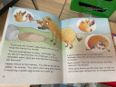 大猫英语分级阅读十七级1 Big Cat（高一、高二 读物6册+家庭阅读指导1册 附扫码音频） 实拍图