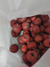 山胖子山楂果大金星山东新鲜水果冰糖葫芦山里红酸甜可口现摘现发 山楂大果2斤（送山楂食谱+竹签） 实拍图