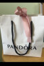 潘多拉（PANDORA）[520礼物]包装袋子P12001P12001均码生日礼物送女友 实拍图