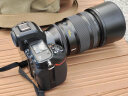 尼康(Nikon)尼克尔 Z 135mm f1.8 S Plena 晒单实拍图