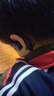 领妙真无线蓝牙耳机降噪挂耳夹式不入耳长续航气传导清通话来电报号适用华为vivo小米苹果一分购 【炫酷黑】超清通话丨来电报号 通用 实拍图