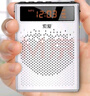 索爱（soaiy）S538小蜜蜂扩音器蓝牙11W大功率教师教学导游腰挂户外长续航麦克风插卡收音机播放器 纯情白 实拍图
