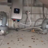 四季沐歌（MICOE）即热式小厨宝三档变频电热水器不限水量5500W厨房热水宝过水热水电分离上门安装 实拍图