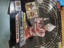 卡游（Kayou）斗罗大陆卡片豪华版10弹官方正版唐三动漫周边卡牌卡包收藏卡册 【第10弹】豪华版10包 实拍图