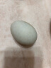 荆八宝 咸鸭蛋熟 大蛋黄红心起沙流油 农家散养鸭蛋盐蛋 生鲜 真空装 20枚大蛋（50-60g）95%人选择 实拍图