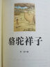 初中生必读课外书名著十二册本人教版初中七八九年级上下36简爱骆驼祥子海底两万里西游记朝花夕拾中考红星照耀中国昆虫记儒林外史简爱经典常谈 初一七年级必读课外书 初中必读名著全套14册 晒单实拍图