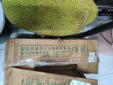 【需催熟】海南黄肉菠萝蜜一整个 热带新鲜水果波罗蜜生鲜 ⭐黄肉菠萝蜜20-25斤 晒单实拍图