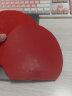 TIBHAR挺拔 变革全能EL-P套胶乒乓球胶皮德国进口内能进攻型 红色MAX 实拍图
