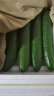 京地达山东水果小黄瓜 5斤装 青瓜新鲜水果蔬菜健康轻食 源头直发 实拍图