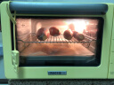 北鼎（Buydeem） 电烤箱 家用多功能小烤箱 全自动台式迷你 空气炸 烤鸡发酵 智能温控 一键操作入门级烤箱 31.5L 【小鹅黄】T535 | 7大功能 | 专有薯栗烤 晒单实拍图