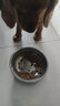 狼孩儿狗粮40斤成犬幼犬粮通用型泰迪金毛拉布拉多马犬20斤 牛肉粒四拼【40斤】中大型犬专用 实拍图