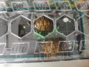 茨格曼生态乌龟缸饲养箱家用养龟专用箱养龟盆塑料乌龟缸养殖箱冬眠箱子 绿色 大号三层全套装 实拍图