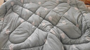 雅鹿被子秋冬棉被加厚冬季被芯双单人宿舍盖被垫被被褥空调被四季通用 期待【持久保暖 柔软舒适】 150*200cm【约6斤】 实拍图