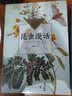 【新华正版】昆虫漫话（中小学生阅读指导目录 小学）陶秉珍著 学校推荐阅读书目小学生三年级下册四年级必读课外书8-10-12岁自然科学经典科普读物 实拍图