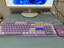 本手机械键盘有线键鼠套装 紫色键盘鼠标猫耳朵耳机三件套 背光可爱男女生办公台式电脑笔记本电竞游戏 白紫-混光青轴两件套【键盘+鼠标】 实拍图